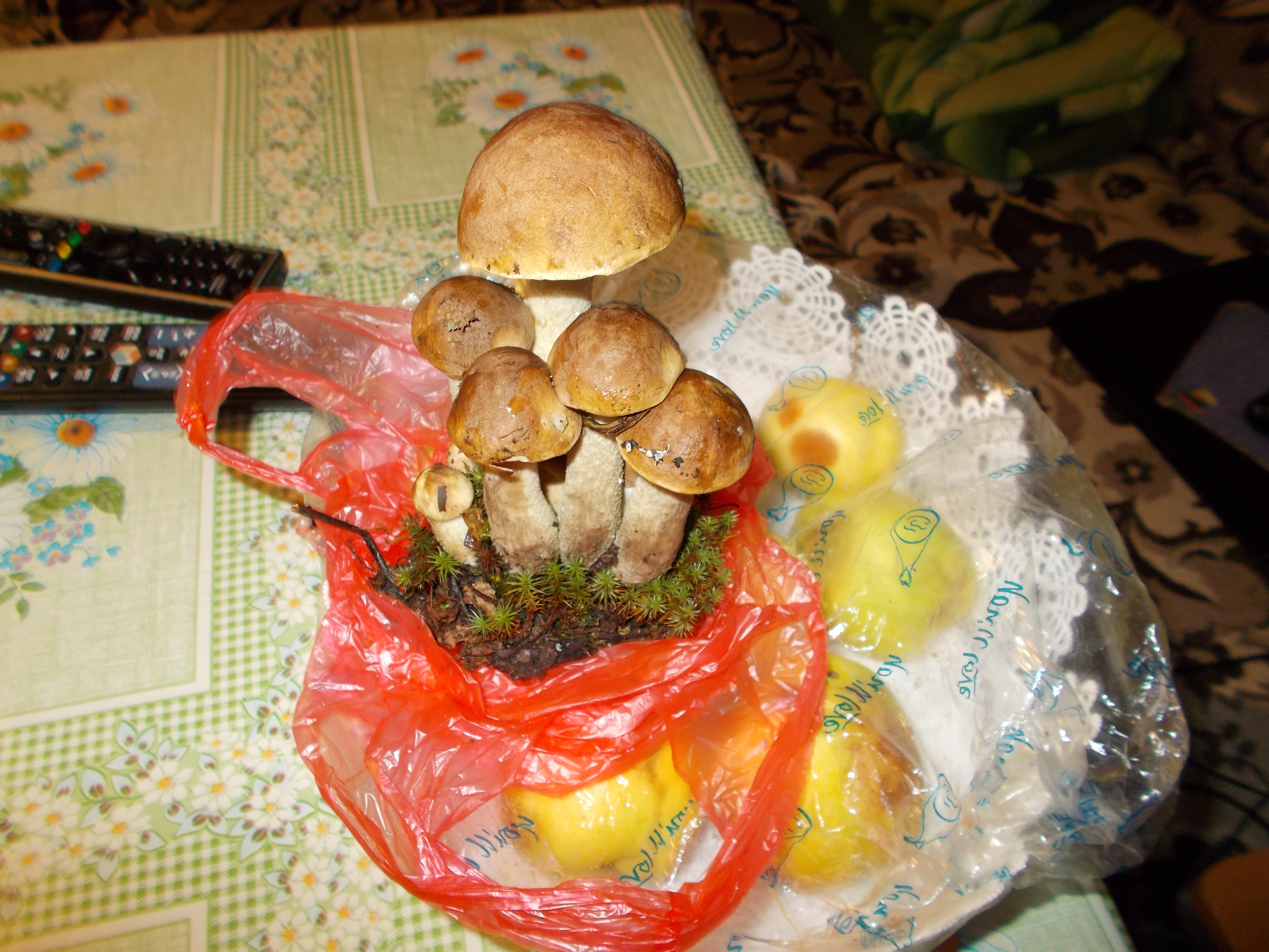 Фото семьи подберезовиков из статьи Как сварить грибной суп -быстро и вкусно  С фото по шагам