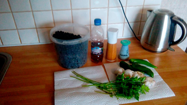 Ингредиенты для приготовления аджики из черноплодной рябины